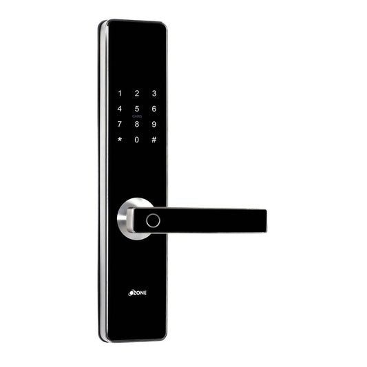 Morphy Plus STD SC