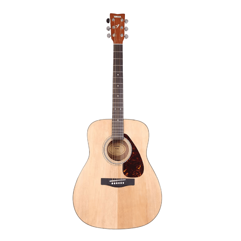 Acoustic Guitars