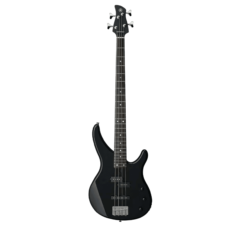 Bass Guitars