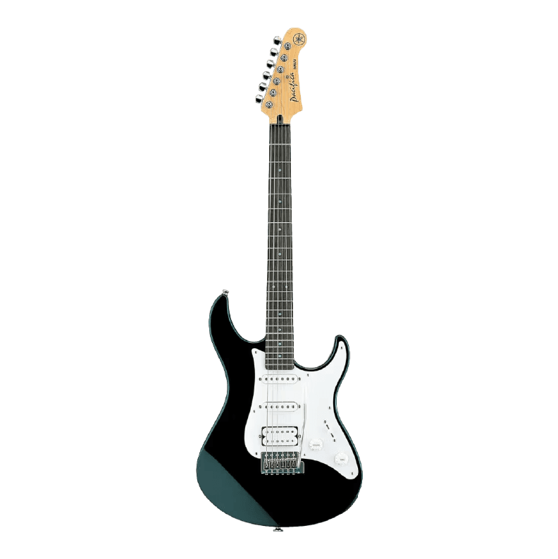 Electric Guitars