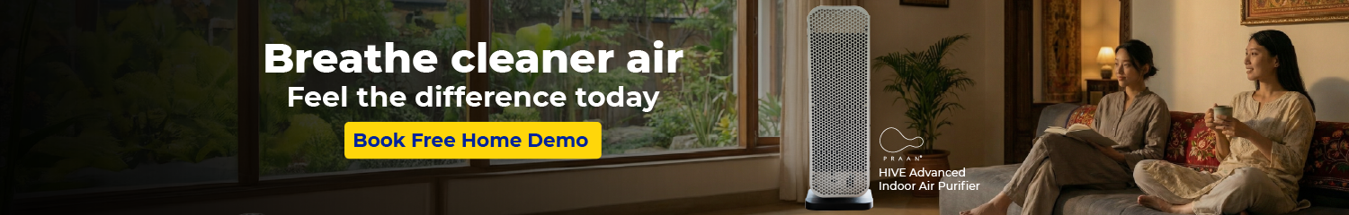 Epik February 2026 Banner 5